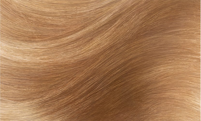 Haircolor 8 Light Blonde Excellence Creme Hair Swatch